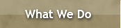 What We Do